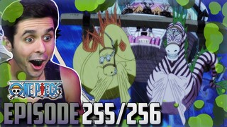 "GOING TO SAVE ROBIN" One Piece Ep. 255,256 Live Reaction!