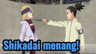 Shikadai menang!