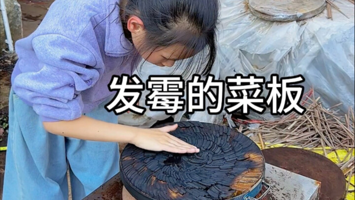 ไม้กลวงอายุร้อยปี เขียงดีๆ ต้องไม่มีแก่นไม้ #เขียง #ไม้พะยูง #ต้นไม้โบราณพันปี #ไม้จริงเนื้อแข็ง