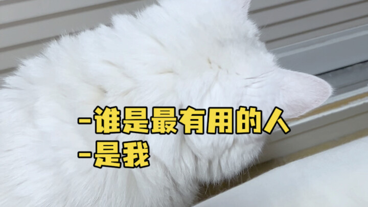 Who’s the manliest person in the world? It’s me! Doudou and his most helpful mom #HelpMeCheckOnTheCa