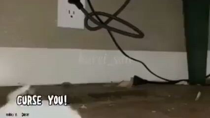 Japanese mouse☠️