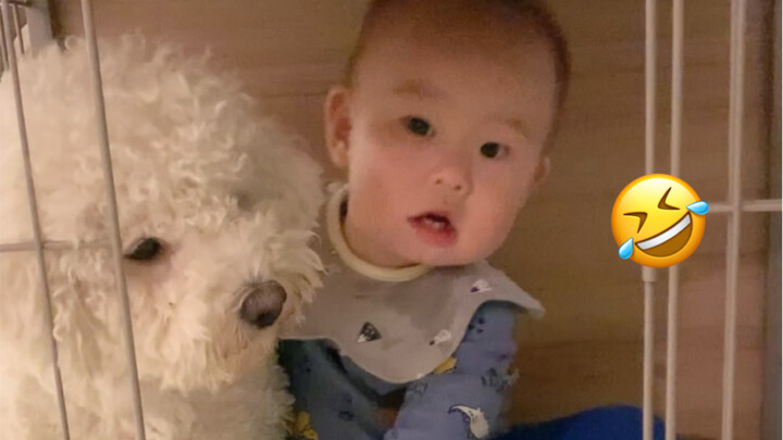 Never raise a dog and a baby together! Otherwise…