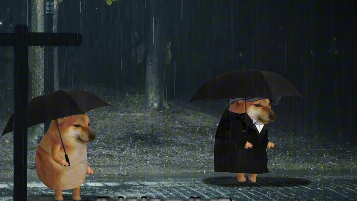 Mom: "Keep going! Don't look back"