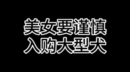 Aku kan sudah bilang cewek cantik nggak cocok pelihara anjing besar!