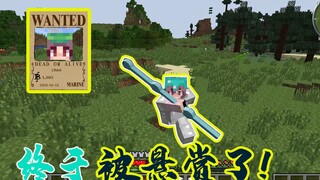 海贼王生存10：终于被悬赏了，赏金高达1083贝里！