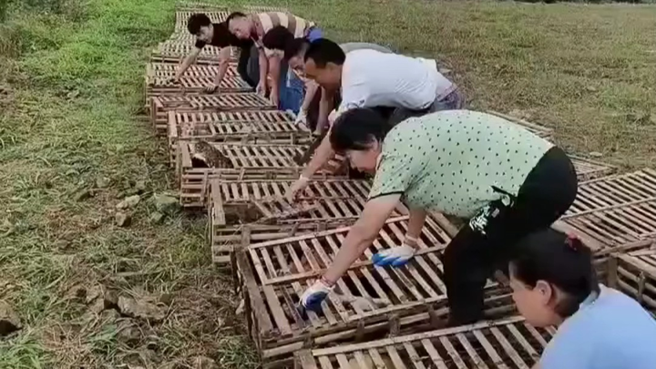 Releasing a cat!