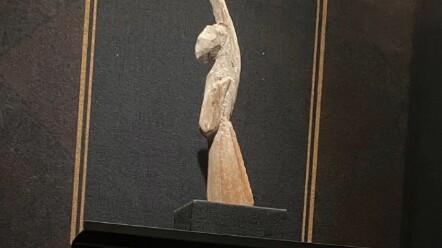 هههههههههه، ضحكتني لدرجة الموت.