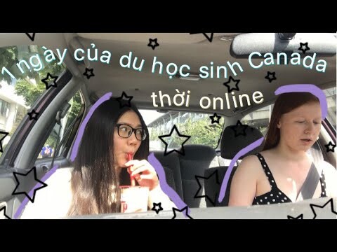 một ngày của du học sinh đại học Canada thời online| Vietnamese college (online) student in Canada