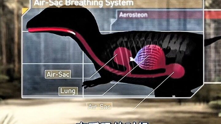 It’s just a mere trick; nothing beats double breathing.