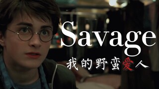 【HP/Drarry/德哈/车】Savage我的野蛮爱人