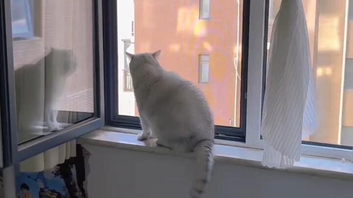 The Most Correct Episode of Qin Hailu’s Education Show