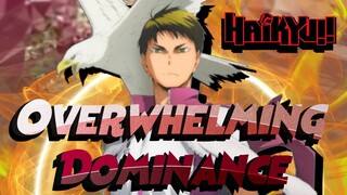 Overwhelming Dominance: Wakatoshi Ushijima (Haikyuu!)