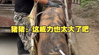 Babi: Kekuatan ini terlalu besar.