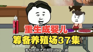 《重生成婴儿37》：大队长开窍了，全县筹备养殖场