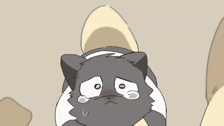 Buku Harian Perkembangan