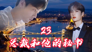 【博君一肖/甜】《总裁和他的秘书》23集/王总这是针对你吧！