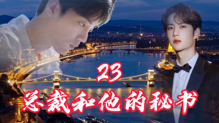 【博君一肖/甜】《总裁和他的秘书》23集/王总这是针对你吧！
