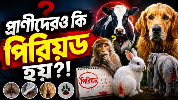 মানুষ ছাড়া কি অন্য কোনো প্রাণীর period হয়?