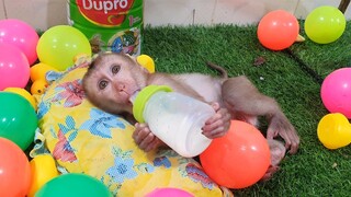 WOW! So Cute Lovely Baby Liheang Sleep Drinking Milk