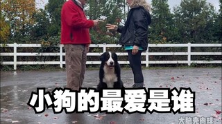 Puppy, do you love Daddy more or Mommy more?