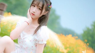 【Persimmon】Senior, can't you recognize me? Please don't tell me ✿nonono【Graduation Work】