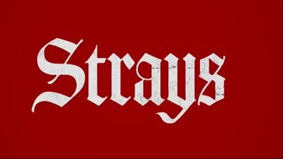 Strays watch full movie: link in description