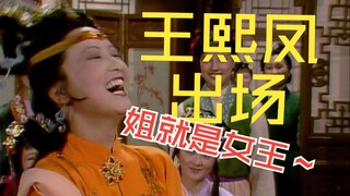 Dream of the Red Chamber: Chinese-to-Chinese Translation – The Most Classic Entrance Ever, the Maste