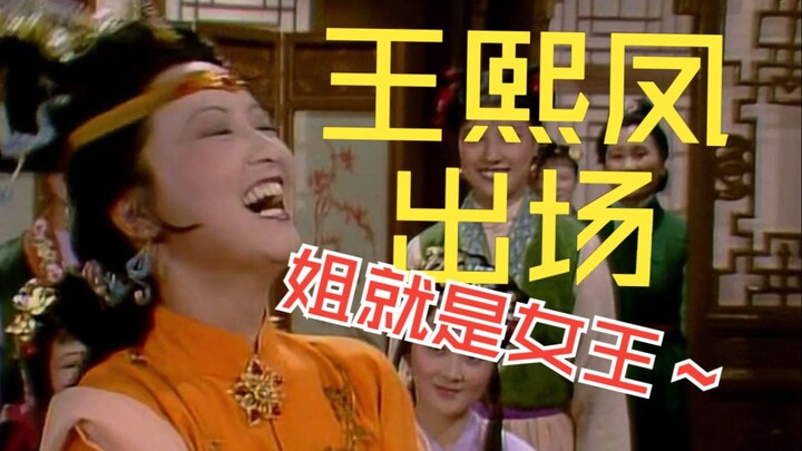 Dream of the Red Chamber: Chinese-to-Chinese Translation – The Most Classic Entrance Ever, the Maste