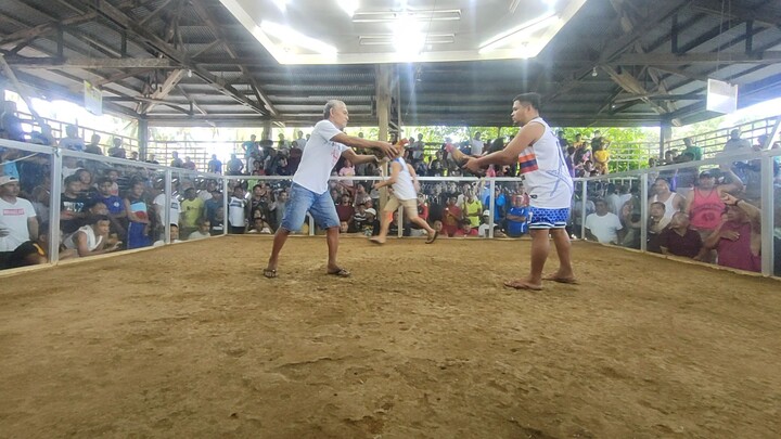 poyloyTari tutorial #4 win