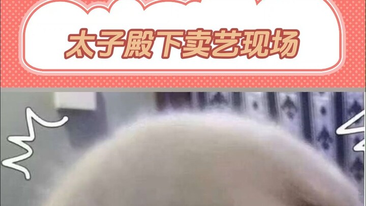 围观谢怜卖艺现场