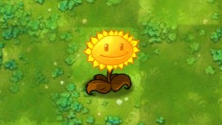 พืชผสมผสาน 300: ทานตะวันคบเพลิง!