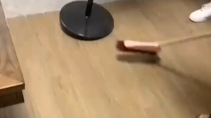 Rết: Đừng dùng chổi… bàn chải… gậy mà đánh tôi!