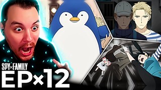 Spy x Family Come Back! | Spy x Family Episode 12 REACTION