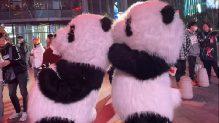 If you run into a plush panda who’s even more socially awkward than you are