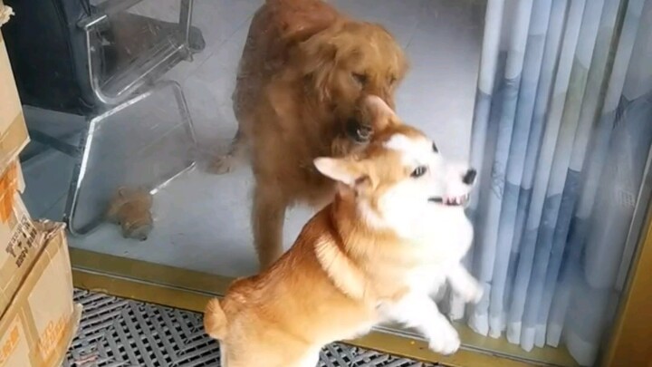 Ji Ge doesn’t say much, but he’s ruthless as hell.