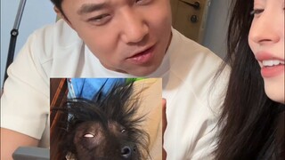 女朋友非要让我给她买一条“长的像鬼的狗”