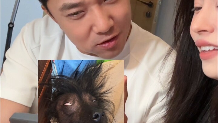 Bạn gái nhất định bắt tôi mua cho cô ấy một chú chó "dài giống như ma".