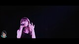 Aimer - Brave Shine (Fate/say night: Unlimited Blade Works)