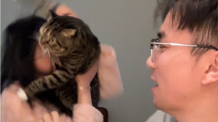 ในสถานที่นั้น คนที่มีอารมณ์คงที่ที่สุดคือแมว