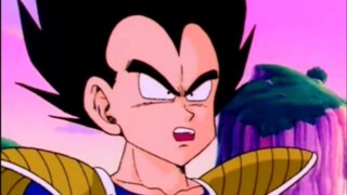 Vegeta: WTF