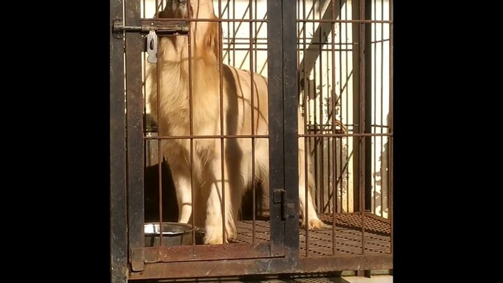 monde von golden valley. she's so beautiful