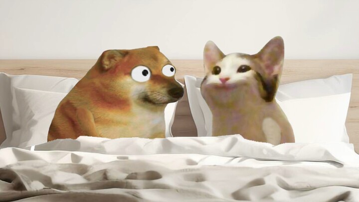 Pernikahan adalah seribu cahaya rumah tangga, ada satu lampu yang dinyalakan untukmu, bukan kekacaua