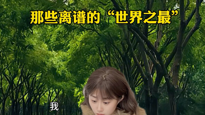 The Craziest “World’s Largest” Records