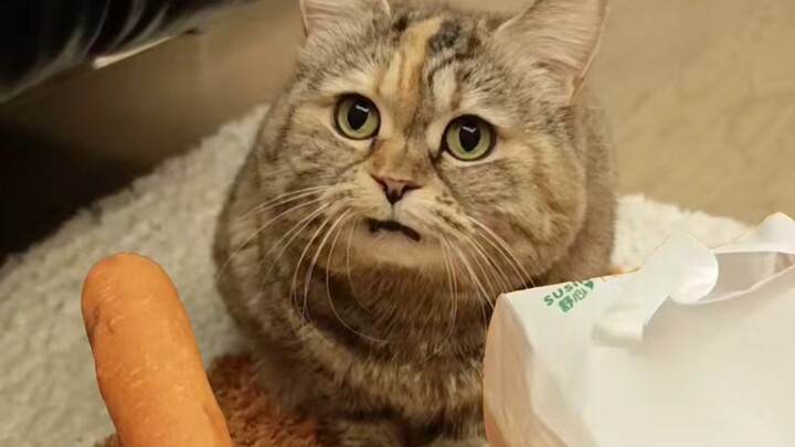 تعلّمتُ أن أقول "جزرة" و"منديل ورقي"!