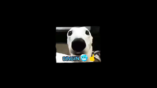 Kagak ke tolong lagi🗿