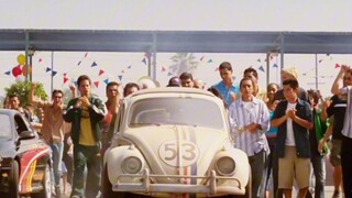 Beetle scams luxury cars worth millions