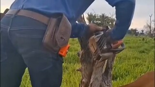 Saking takutnya sama Mas Niu, aku sampai kebingungan total.