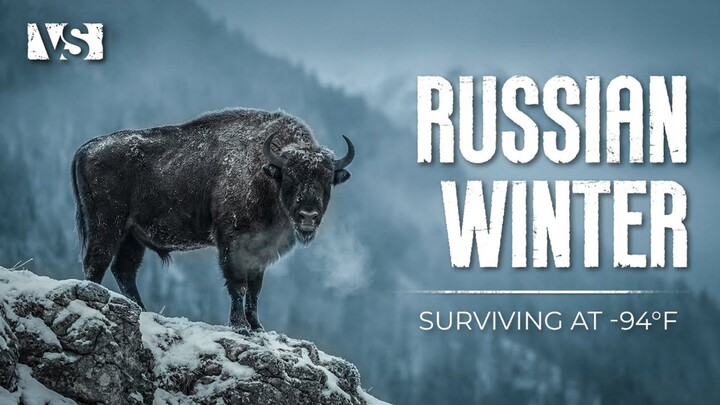 Poland_s Last Wilderness Where Europe_s Wild Heart Beats  4K UHD Documentary (1080PHD)