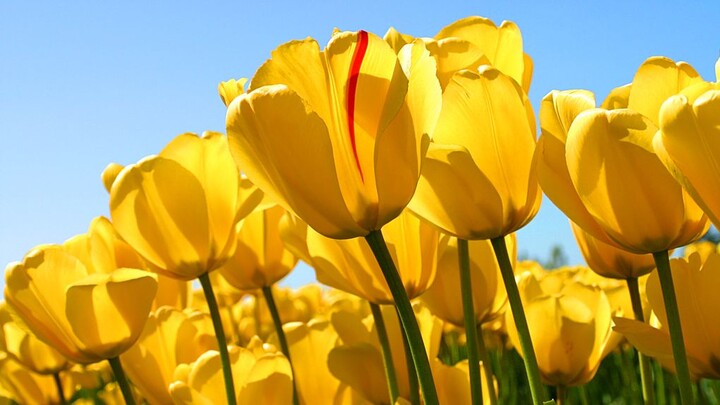 สะดุดล้มหัวไม่แตก ภาค 4 ตอนที่ 2