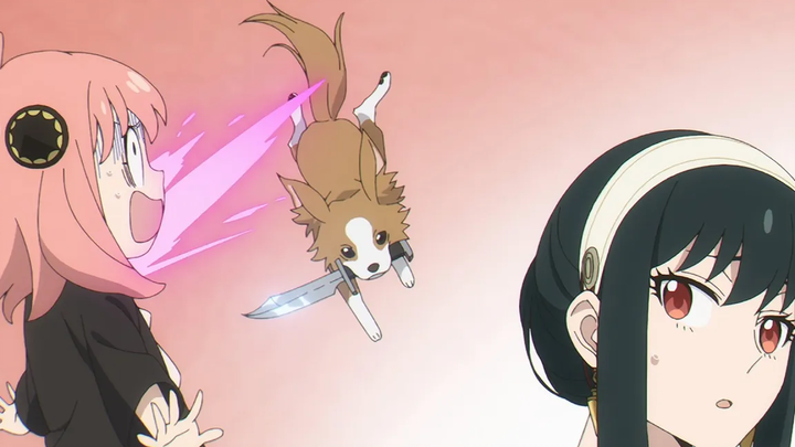 ฉันต้องการสุนัขตัวเล็ก - Spy x Family บทที่ 11